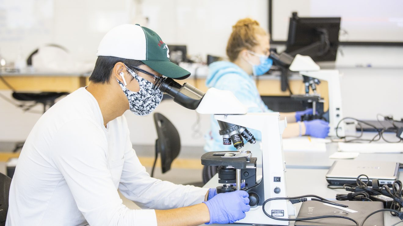 A man and a woman look into microscopes. They are wearing masks and gloves and are sitting apart from each other.