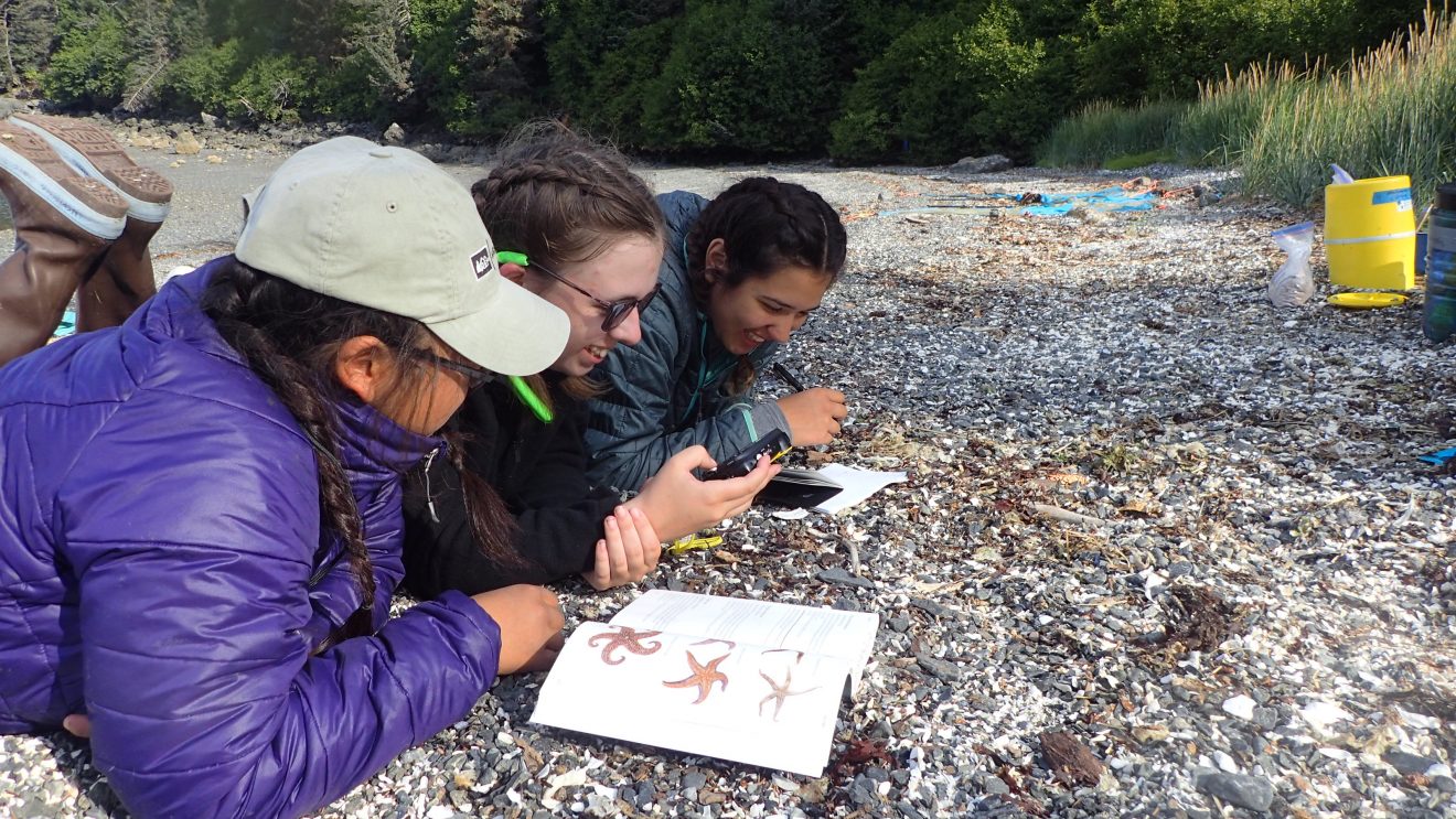 Applications open for tuition-free girls’ wilderness expeditions