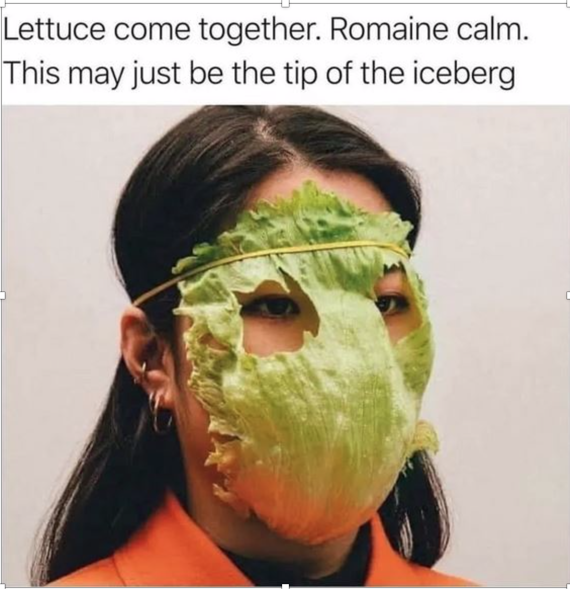 Photo of woman with lettuce leaf over her face. Caption reads "Lettuce come together. Romaine calm. This may just be the tip of the iceberg."