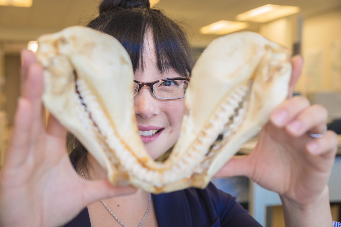 Closeup of a woman holding a large jawbone, presumably of a shark.