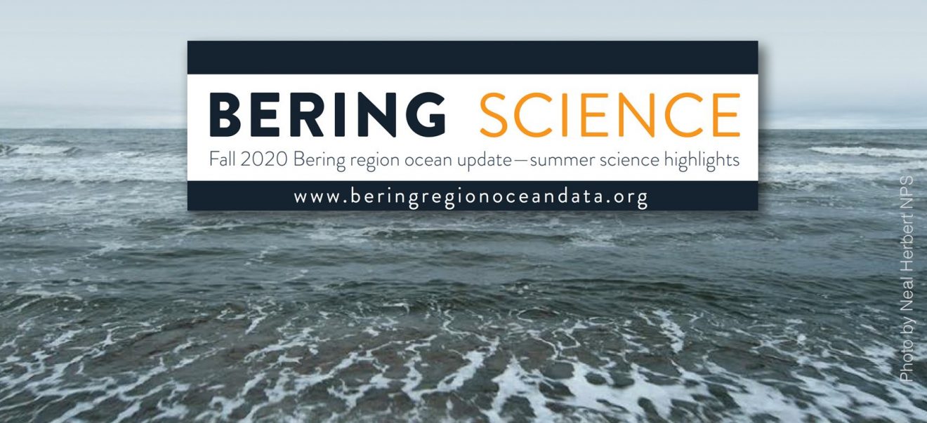 Graphic image for 2020 Bering Science fall report