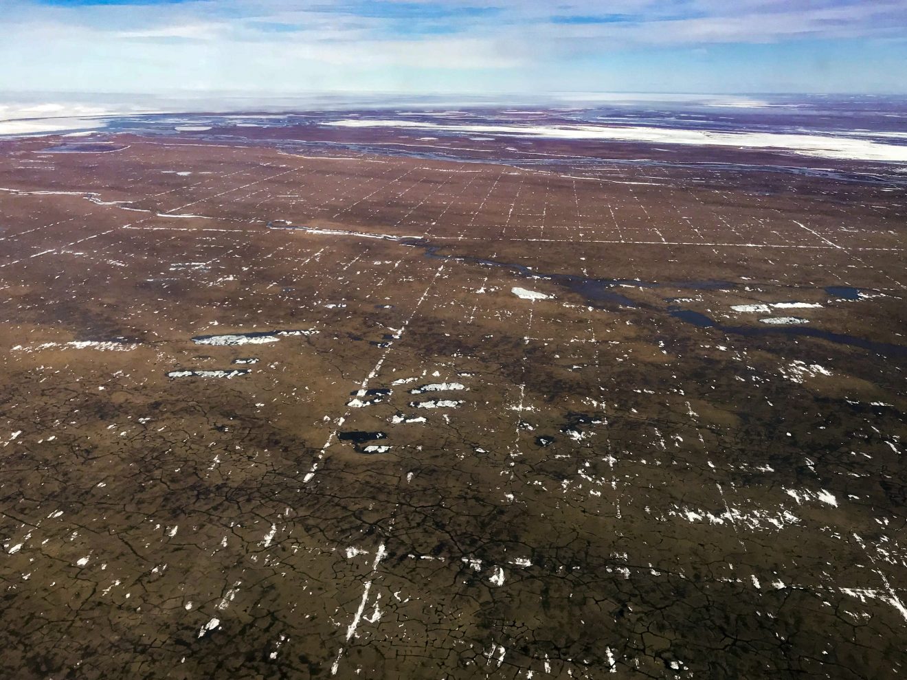 An early spring view of tracks left by a 3D seismic survey conducted in winter 2017-2018. The spacing of the tracks in the photo is 200-by-400 meters, rather than the 200-by-200-meter grid proposed by SAExporation. The photo is not an example of the long-term damage found by researchers in other areas. Photo by Matt Nolan