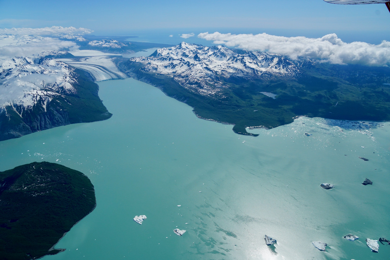 Alsek Lake, with the shrinking Grand Plateau Glacier in the background left. Beyond the glacier — along the path the Alsek River may take in the near future — is Grand Plateau Lake and the Gulf of Alaska. Photo by Chris Larsen.