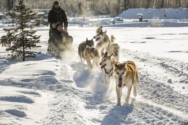 A dog team pulls two men on a dog sled.
