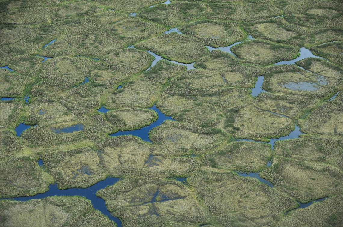 Aerial photo of polygons in summer