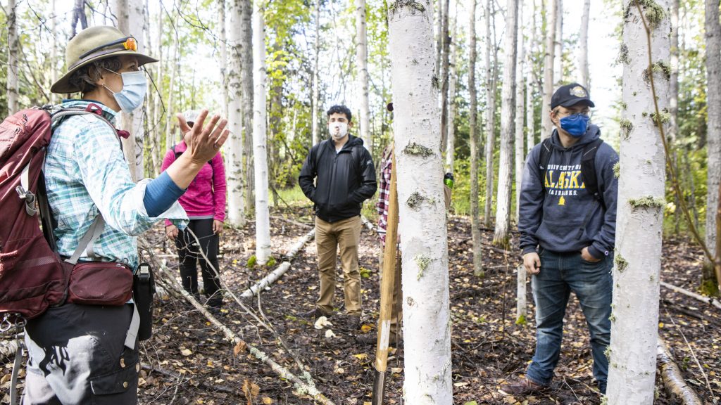 A small group of people stand in the woods. They are wearing backpacks and masks