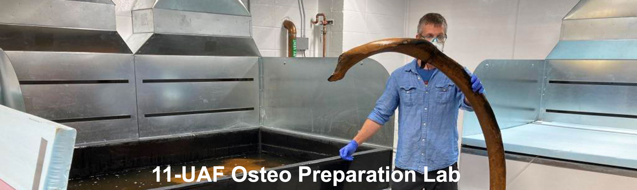 UAF Osteo preparation lab