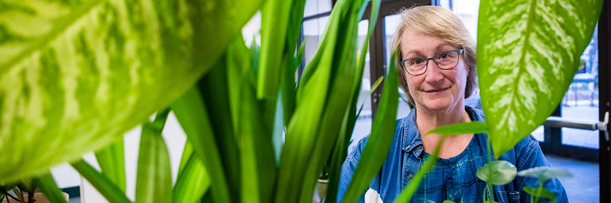 JoAnn Stagno leads the UAF Indoor Plant Program for Facilities Services by adorning common areas on the Fairbanks campus with healthy plants without compromising safety.