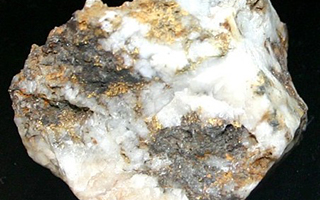 Gold ore in a quartz rock