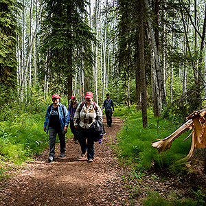 Researchers walk the trial at the Yankovich Burn Site. UAF photo by Leif Van Cise.