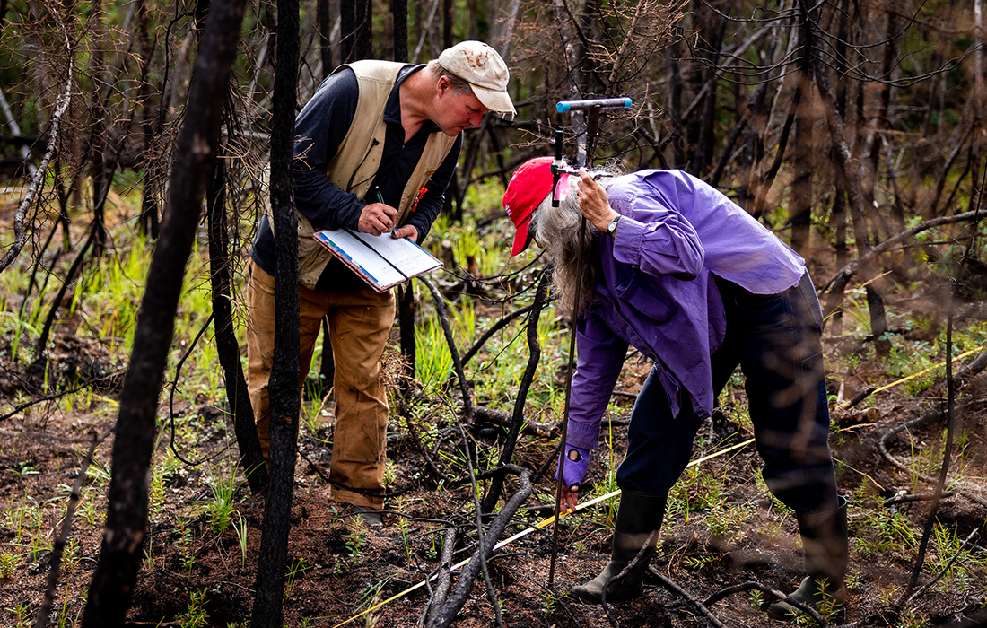 Researchers Eric Miller (left) and Alison York (right) record vegetation and thaw depth at the Yankovich Burn Site. UAF Photo by Leif Van Cise.