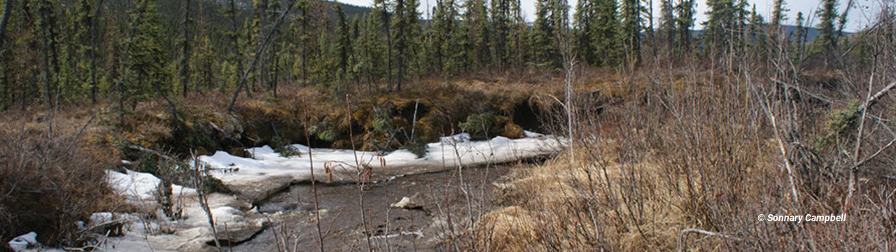 Bonanza Creek Long Term Ecological Research