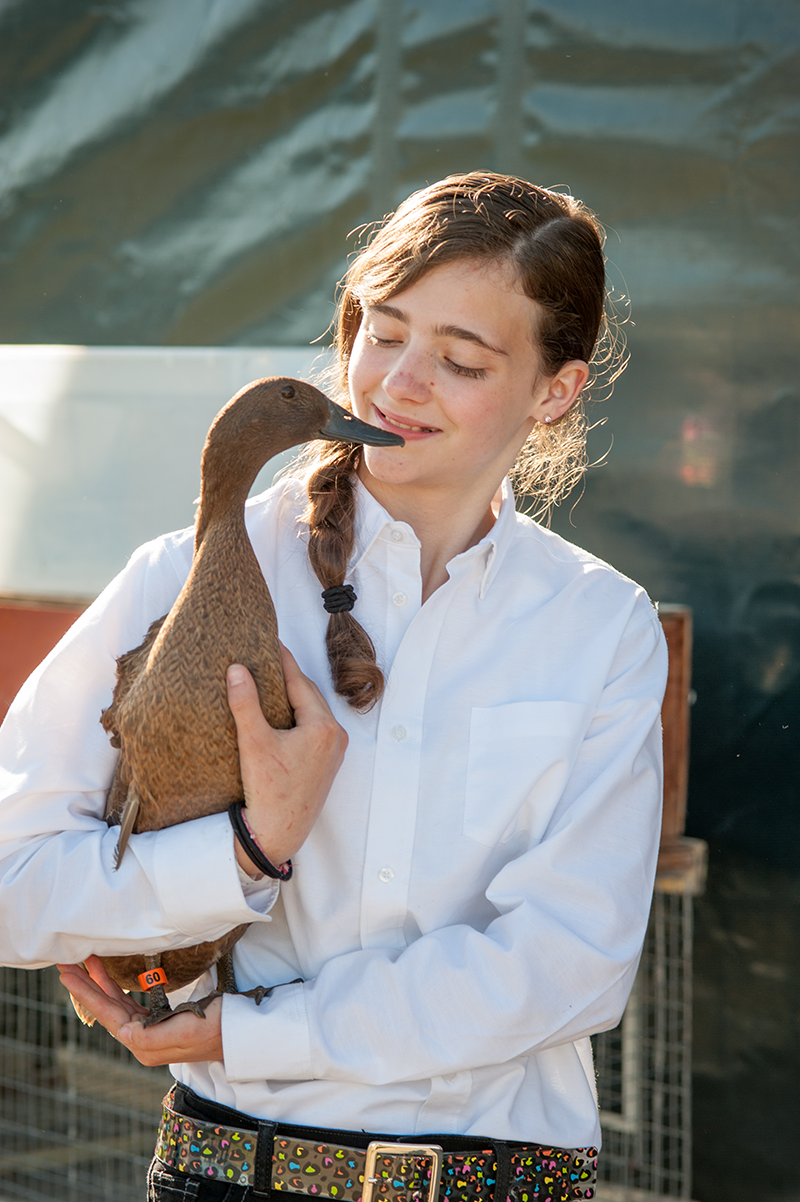 Caucasian girl holding a duck.