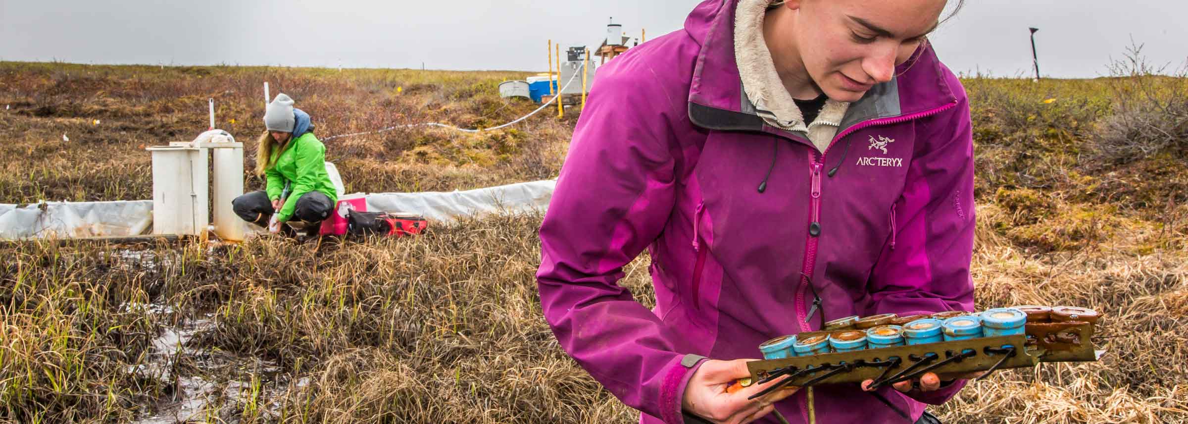 Student researchers collect samples in rural Alaska.