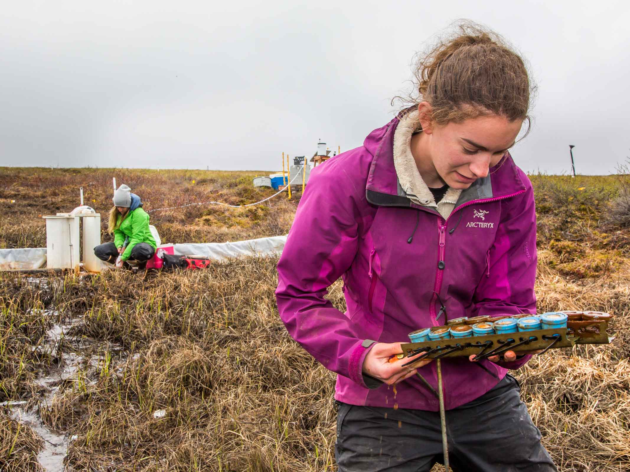 Undergraduate UAF researcher collects samples in the field.