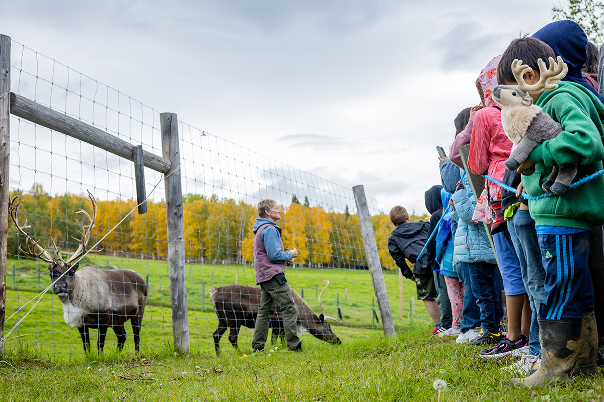 The Large Animal Research Station (LARS) hosts the  event Locals Day on Saturday, September 7, 2024. Community members take part in farm tours by donating to the Fairbanks Community Food Bank.