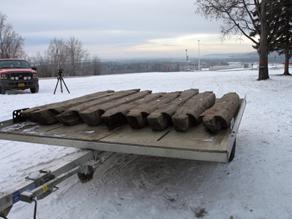 Logs on trailer