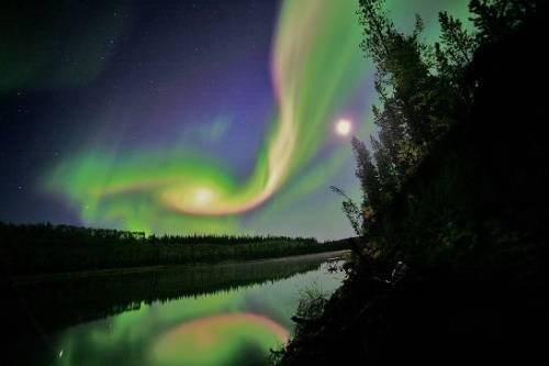 A colorful aurora reflected into water with trees silhouetted in the foreground.