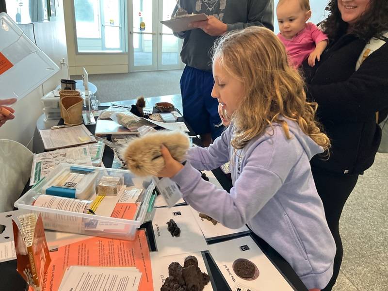 Child looking at a variety of museum objects on a table, with two adults and a baby in the background.