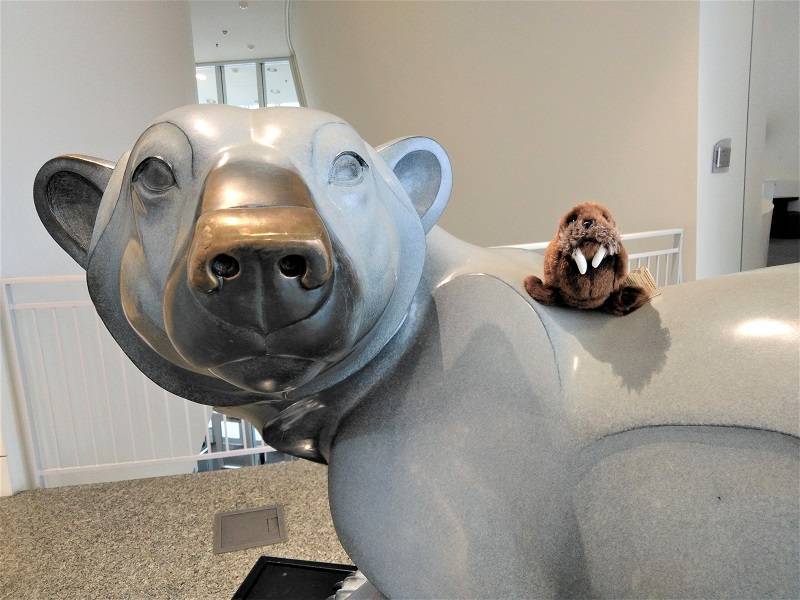 Walrus plushie sitting on the back of a metal sculpture of a polar bear.