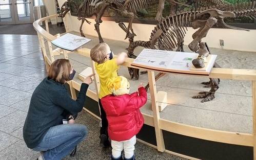 An adult and two children look at dinosaur skeletons and a dinosaur mural in a museum lobby.


