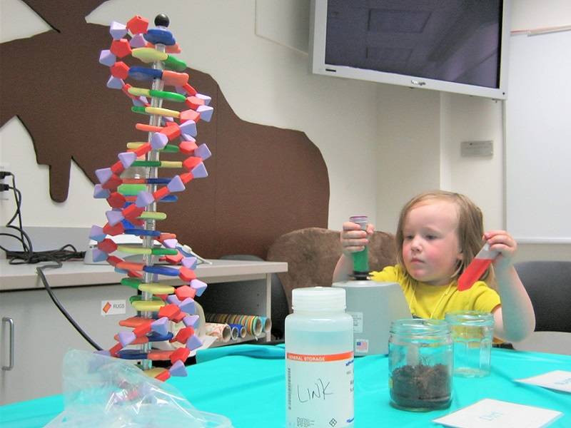 Child placing vials of colored liquid onto a piece of lab equipment. A plastic DNA model is on the table next to them.