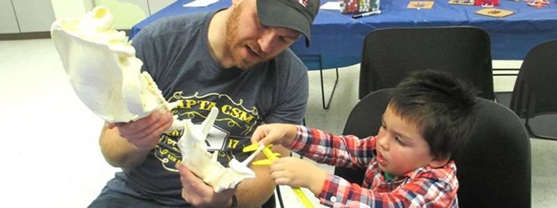 Adult and child examining a replica bear skull.