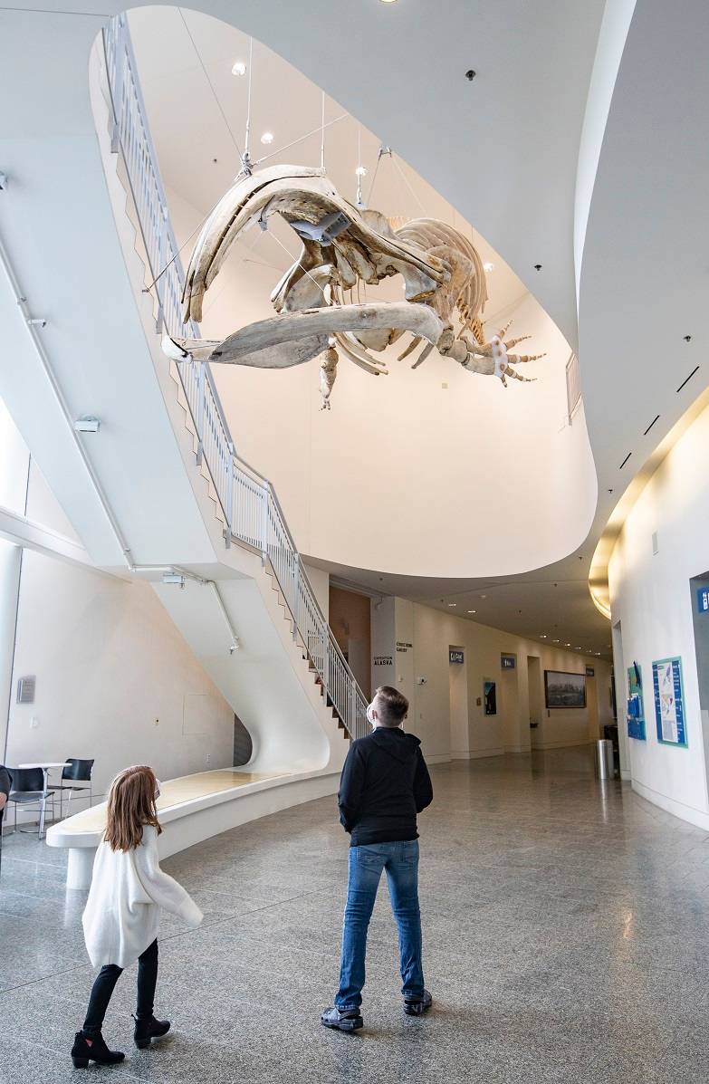 An adult and child looking up at a whale skeleton suspended in a museum lobby.