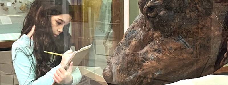 Child holding a sketchbook and looking at a mummified steppe bison in a museum display case.