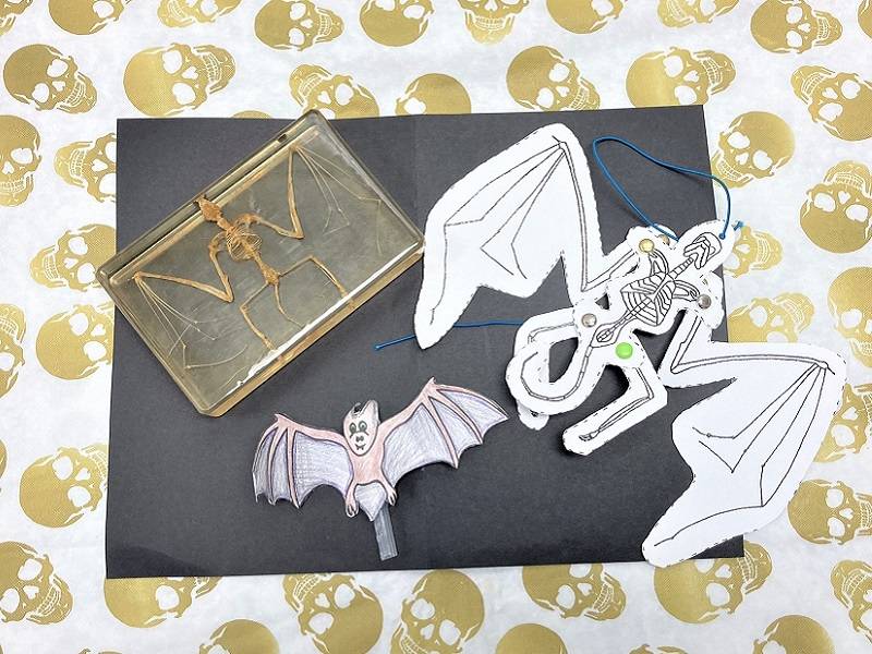A bat skeleton in resin next to a paper bat puppet. Both are sitting on a skull-patterned tablecloth.