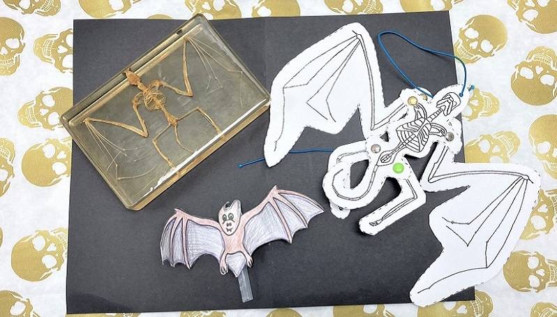 A bat skeleton in resin next to a paper bat puppet. Both are sitting on a skull-patterned tablecloth.