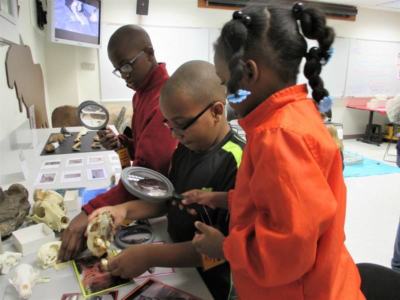 Three children examine fossils with magnifying glasses.