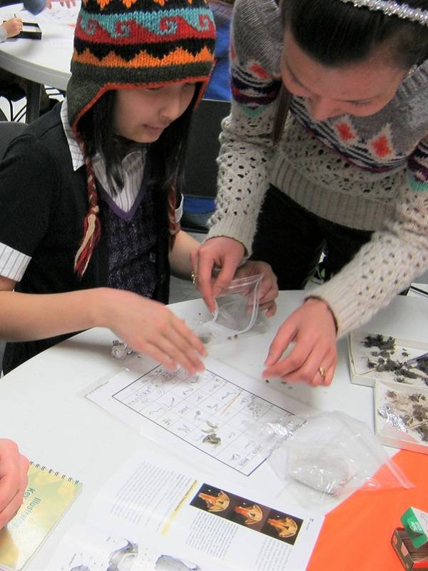 A child dissecting an owl pellet, with several tiny bones visible.