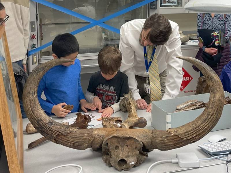 Pat Druckenmiller shows fossils to two children at a table. A large bison skull and several smaller fossils are on the table.