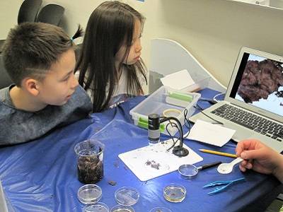 Two children examine soil samples under a microscope.