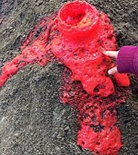Red liquid bubbling out of a jar on top of a pile of gravel.