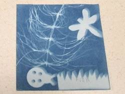 Sun print example: white silhouettes of a plant, fish, and butterfly on a dark blue background. 