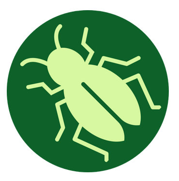 Clipart of a beetle on a dark green background.