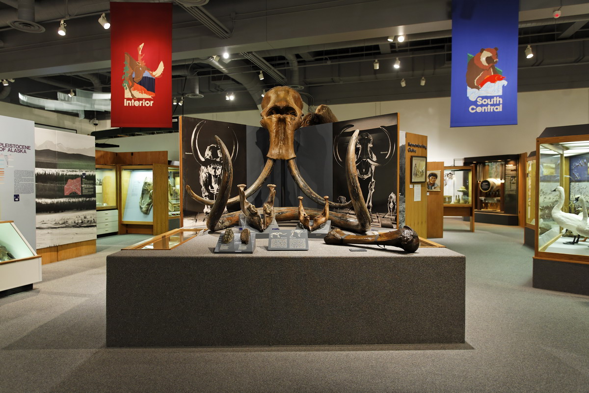 Mammoth and Mastodon display. Photo by P. Fisher