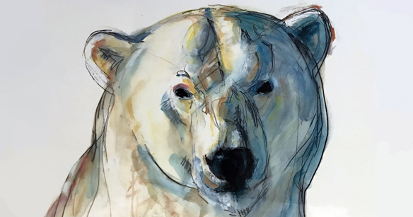 Polar Bear Portrait-favorite by Todd Sherman.