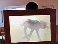 Child standing behind a shadow puppet theater, holding a moose puppet up to the screen to cast a shadow.