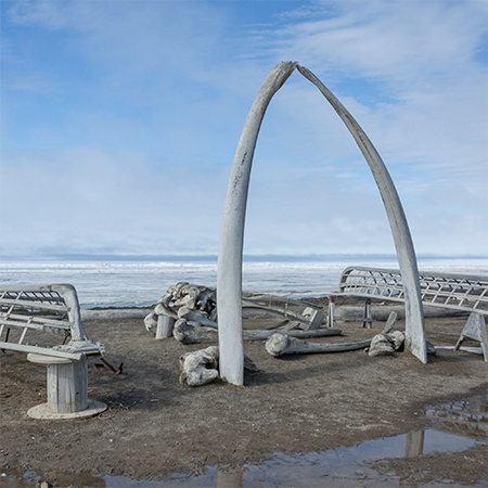 Whale bone arch on the beach | Photo courtesy of Canva