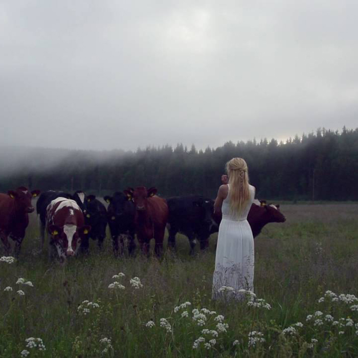 Jonna Jinton of Sweden uses the Scandinavian singing tradition of kulning to herd cows. Photo credit: Jonna Jinton