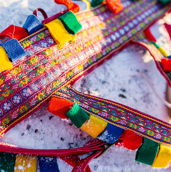 A colorful Sami reindeer harness in the snow | Canva Photo