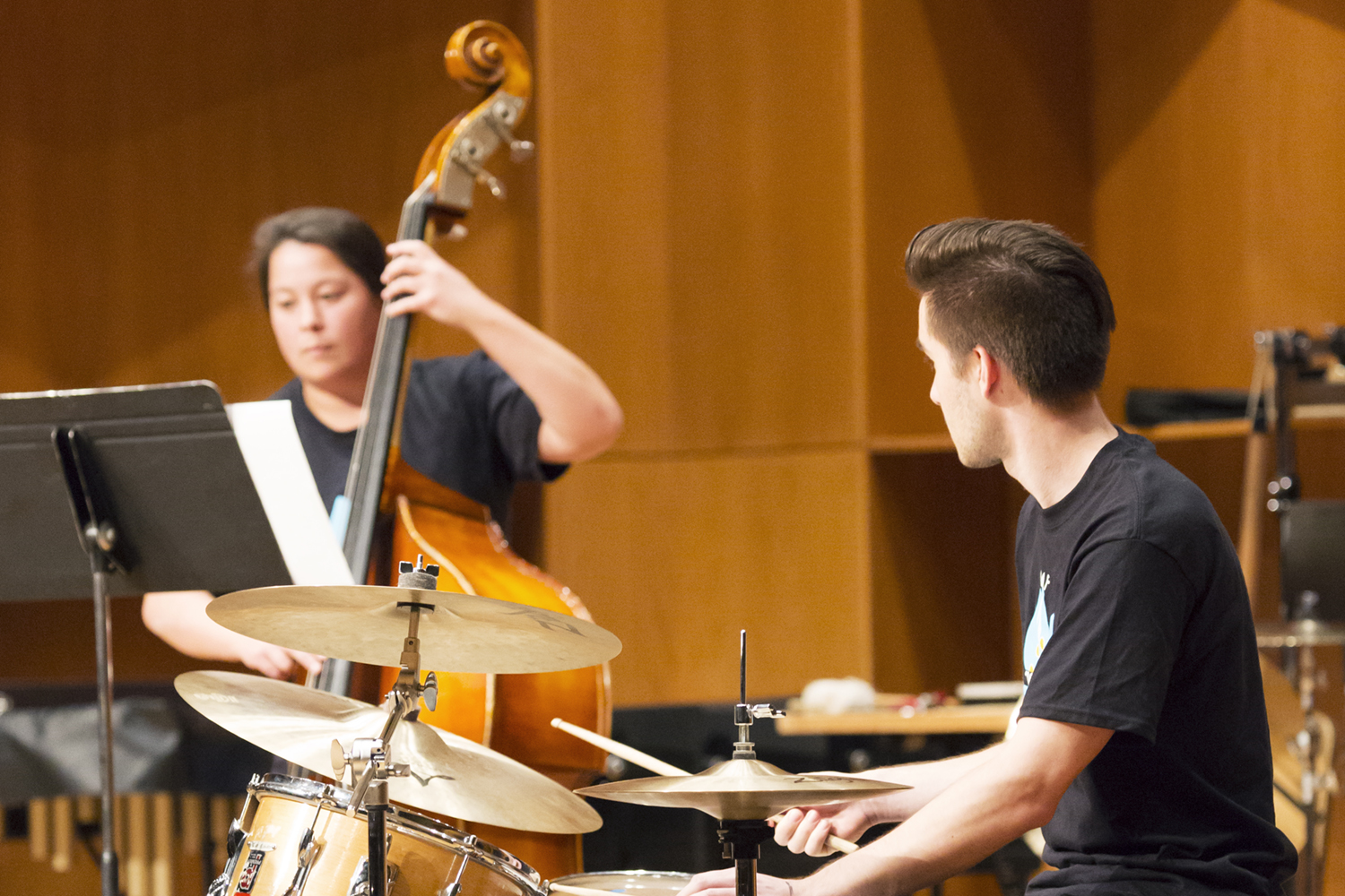 Upright bass player during the 2017 UAF Summer Music Academy. UAF Photo by Sarah Manriquez