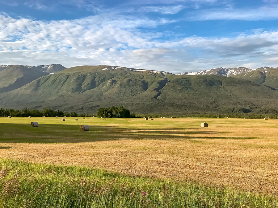 Hay bales cure in a field with mountains in the background and blue sky overhead.