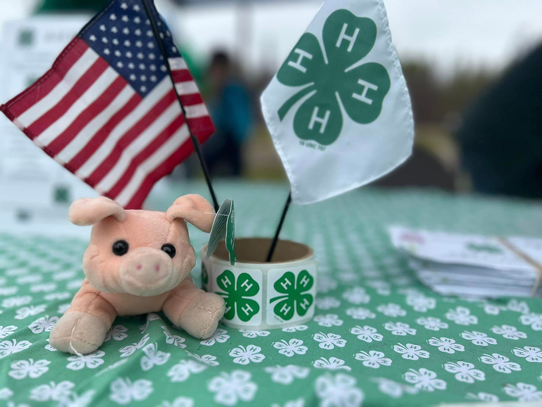 A tiny stuffed pink pig sits on a table next to an American flag and a 4-H clover.