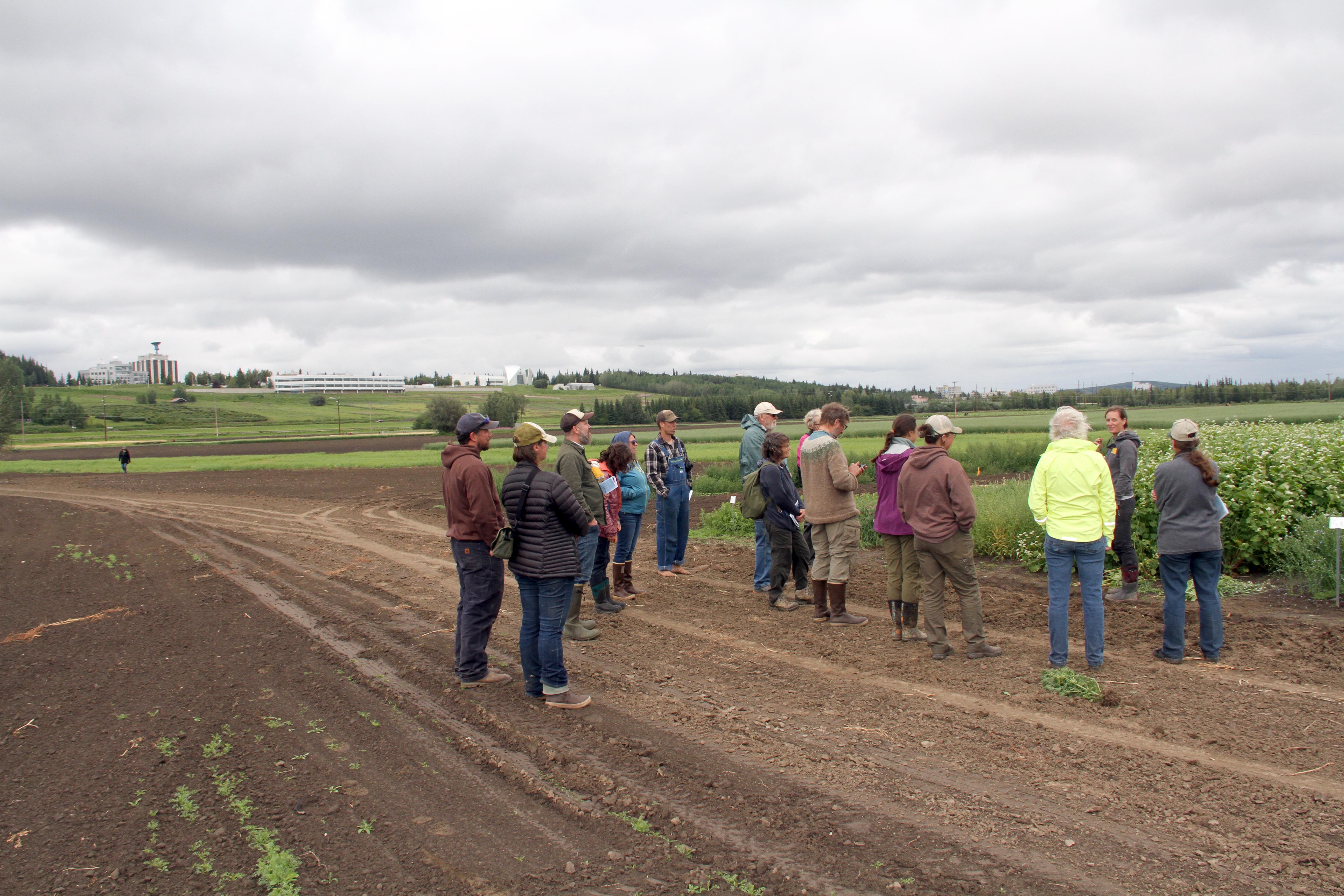 A group of people stand in a field facing a person giving a presentation on the flowering plants behind with university buildings visible on the hill in the background.