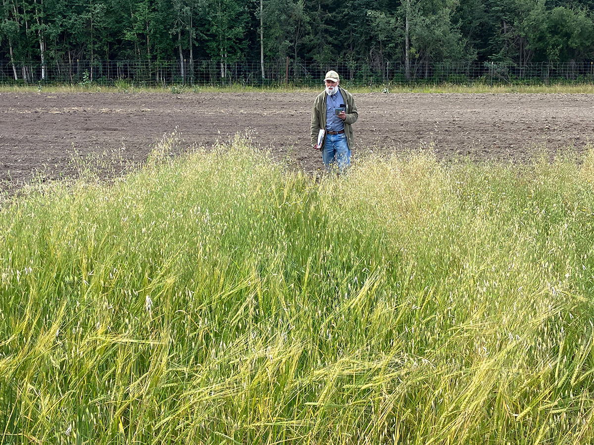 Man standing in a field