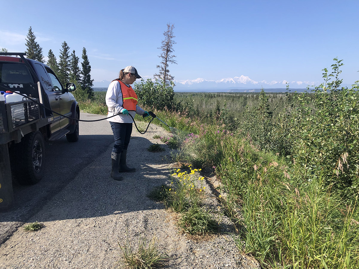 A woman wearing a reflective safety vest sprays plants on the side of the road with a hose attached to containers on a truck. 